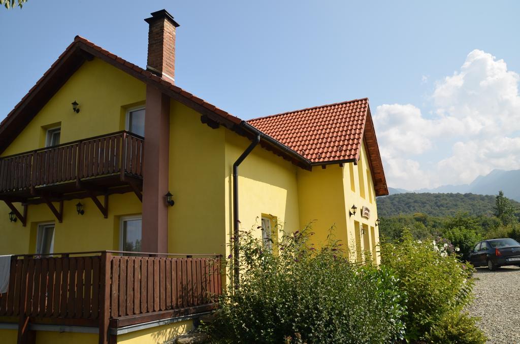 Pensiunea Arpasel Felsőárpás Kültér fotó