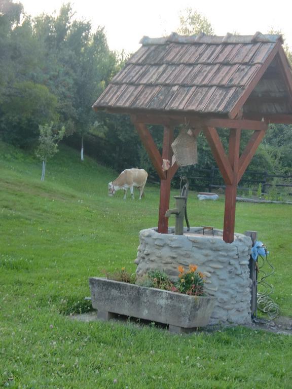 Pensiunea Arpasel Felsőárpás Kültér fotó